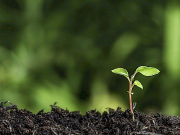 Environmental protection